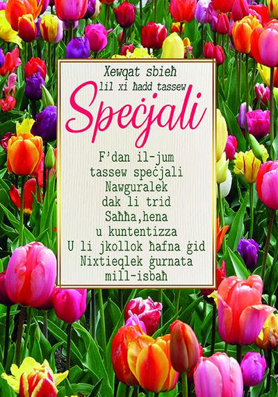 Xewqat Sbieħ Lil Xi Ħadd Tassew Specjali