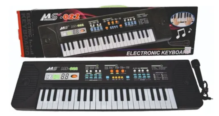 Electronic Keyboard With Microphone