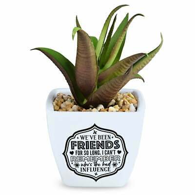 We'Ve Been Friends Artificial Plant