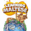 Learning Maltese 3