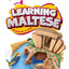 Learning Maltese 4