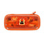 Legami Tiger Pencil case -Grrrreat Adventures grrr!