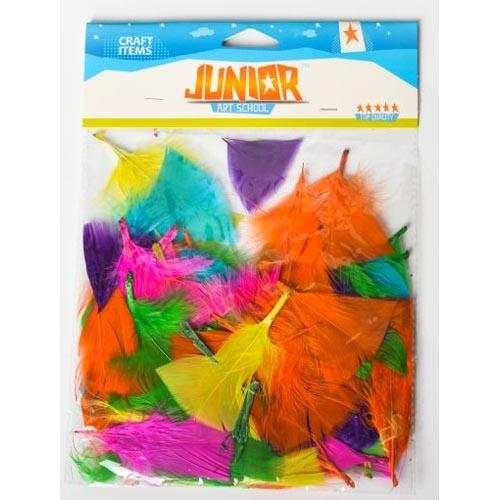 Craft Decorative Feathers
