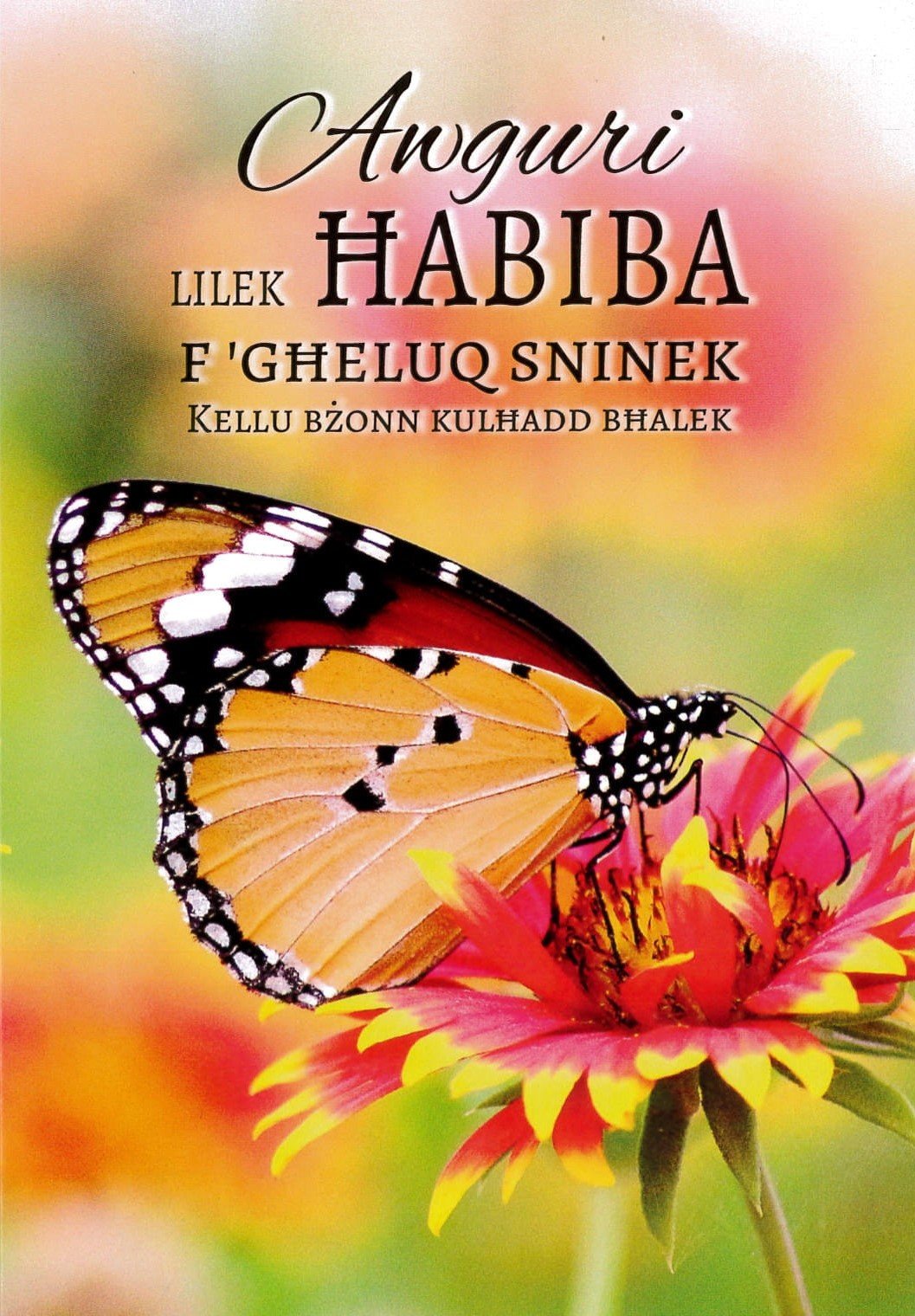 Ħabiba F'Għeluq Sninek