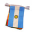 World cup 2026 15mtrs 9 x 6 inch 48 flags