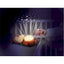 Winfun 2 In 1 Starry Lights Squirrel
