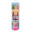 Barbie Ken Doll