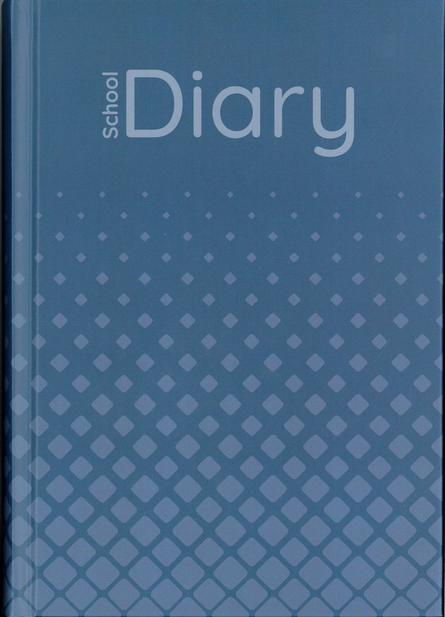 School Diary Lined One Day Per Page