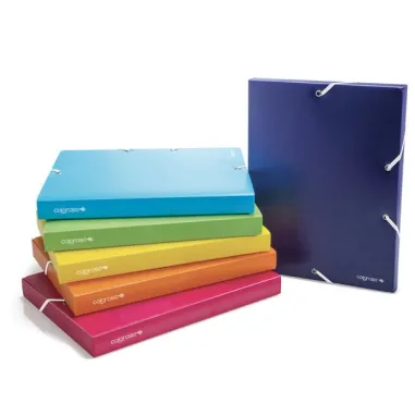 Plastic box file A4 25mm with Elastic