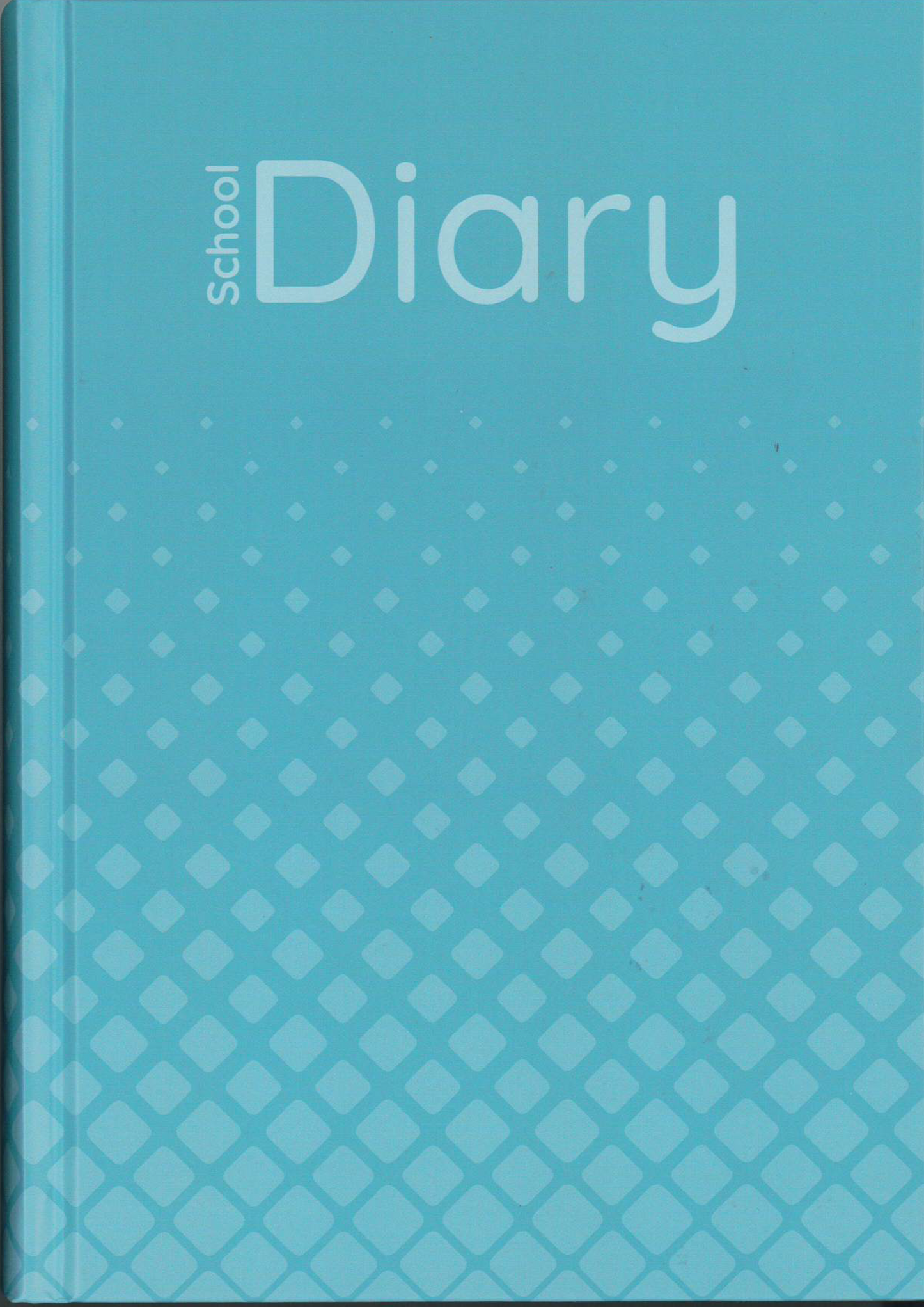 School Diary Lined One Day Per Page