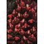 Clementoni Puzzle X1000Pcs La Casa De Papel - 39654