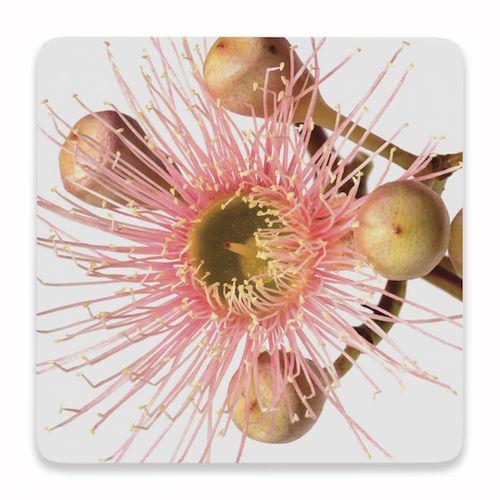 Pink Flower Coaster