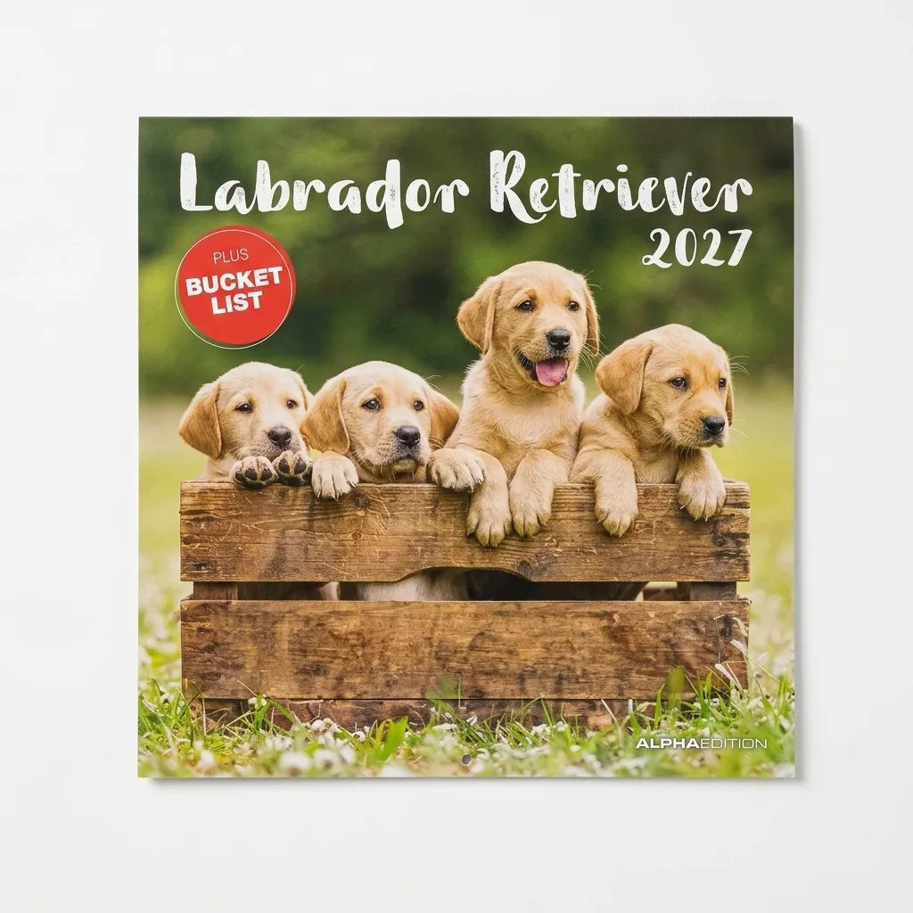 Labrador Retriever 2027 Wall Calendar with Bucket List