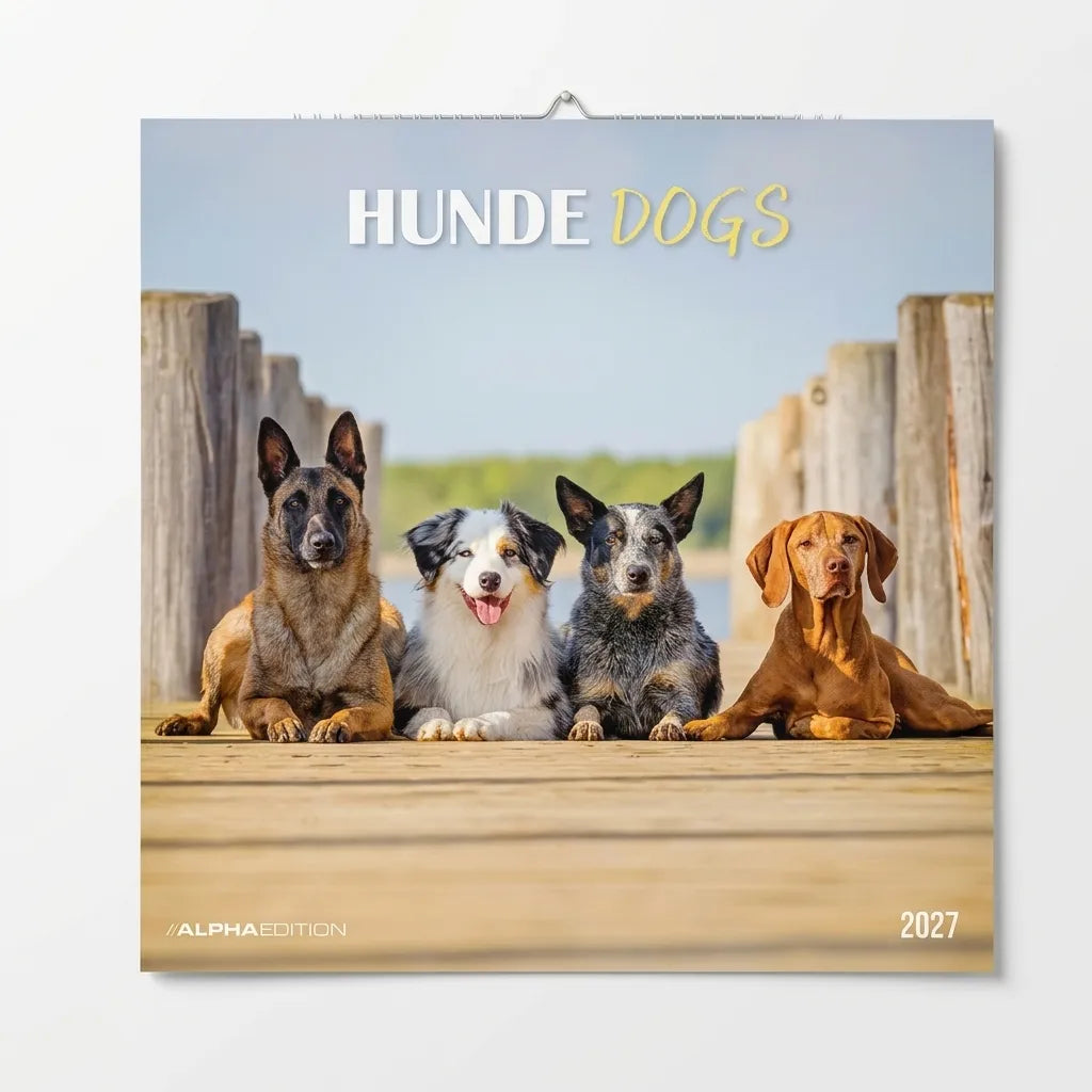 Alpha Edition Hunde Dogs 2027 Calendar
