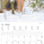 Alpha Edition Dogs  2026 Calendar 30x30 cm