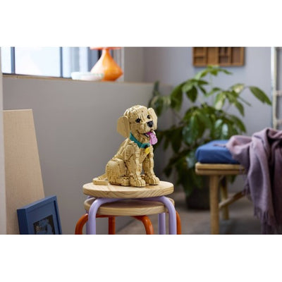LEGO Icons Golden Retriever Puppy 11384