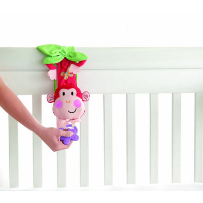 Peek-A-Boo Musical Monkey