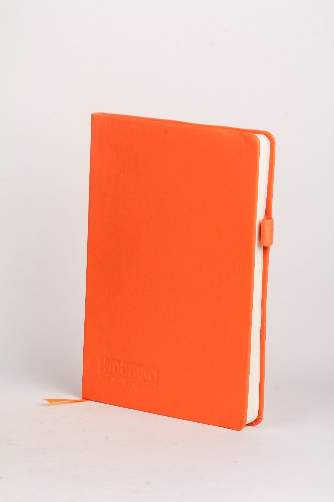 School Diary Lined One Day Per Page ORANGE