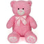 Pink Teddy Bear With Bow 60cm