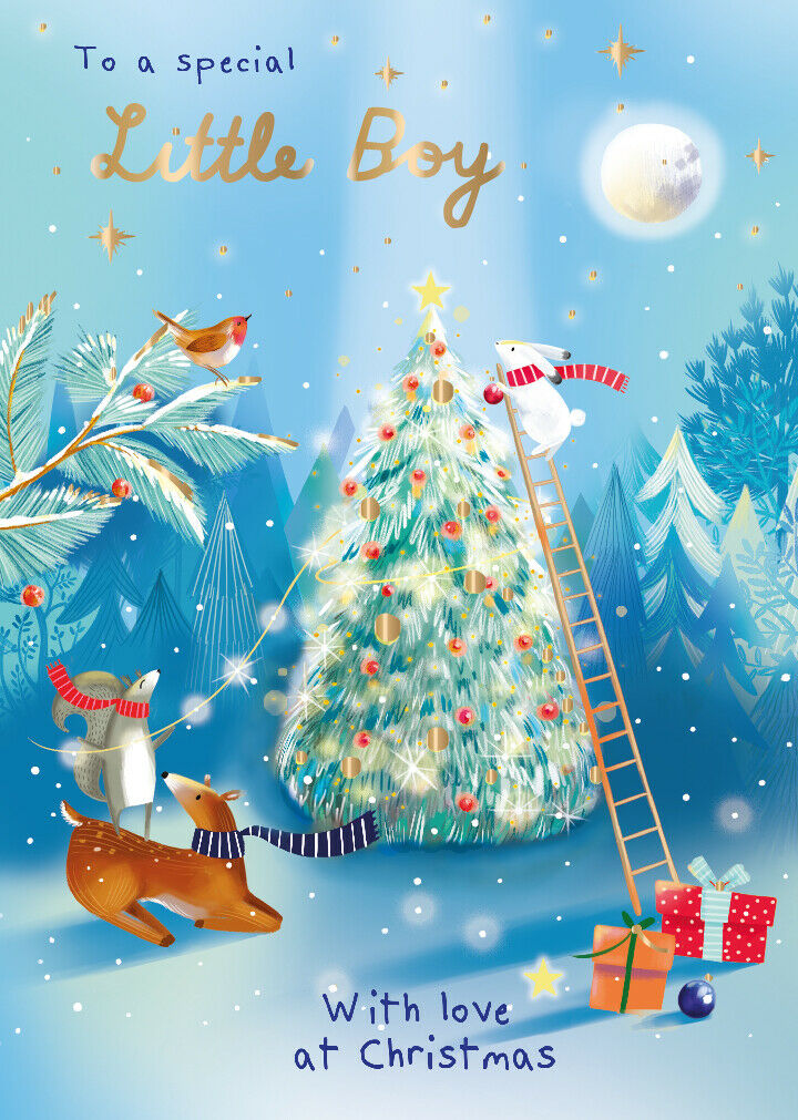 To A Special Little Boy With Love At Christmas