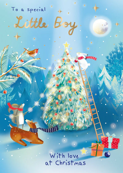 To A Special Little Boy With Love At Christmas