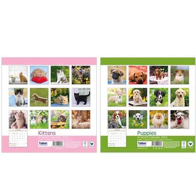 Square Calendar 2026 Kittens or Puppies