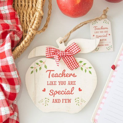 Teachers Like You special and few - Apple Hanging Decoration