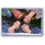 Shake Photo Frame Snowflakes - 10x15 cm