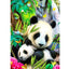 Diamond Painting Canvas 5D