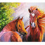 Diamond Painting Canvas 5D
