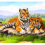 Diamond Painting Canvas 5D