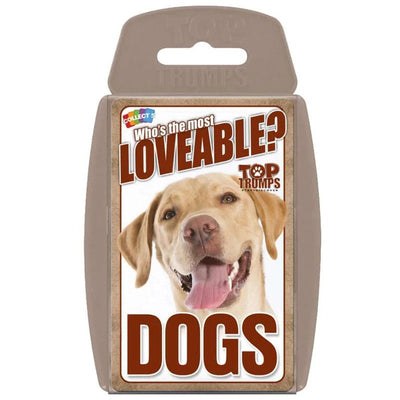 Who Is The Most Loveable Dogs