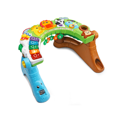 Vtech learning on sale safari playspace