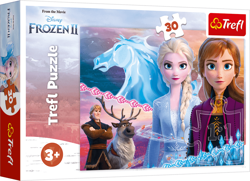 Jigsaw Puzzle - Disney Frozen X30Pcs