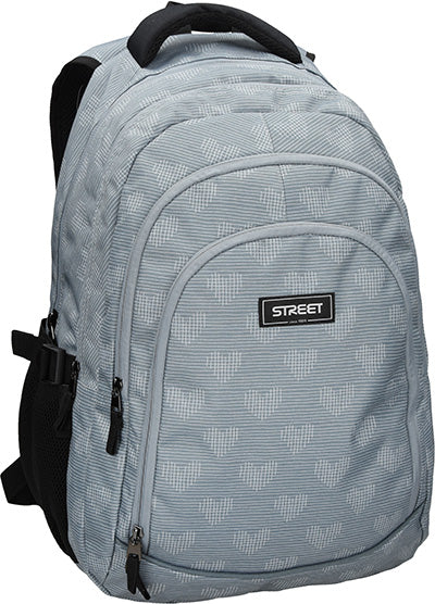 Street 3 Large Zip Backpack - Aggy