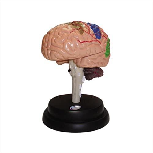 Brain Professional Set