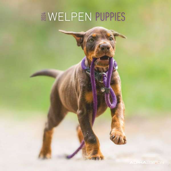 Calendar 2024 - Puppies