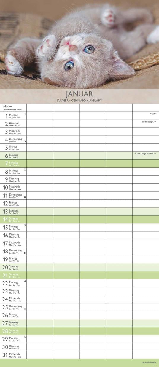 Kittens Family Planner 2024