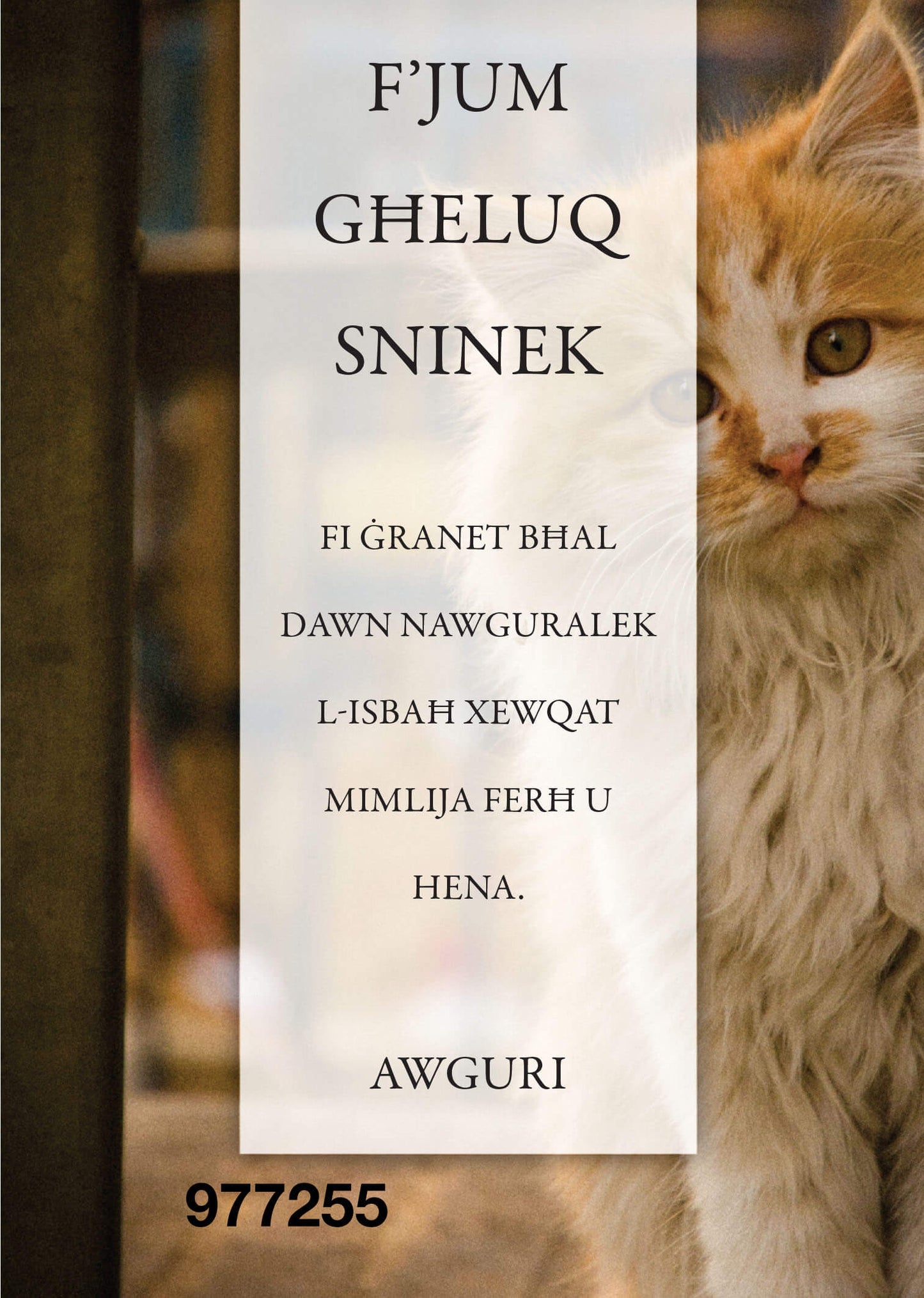 F'Jum Għeluq Sninek