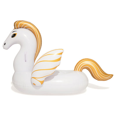 Pegasus Floating Ride-On 1.6Mx1.1M