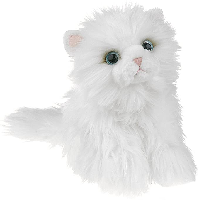 White Cat