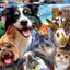 Jigsaw Puzzle - Funny Selfie X500Pcs