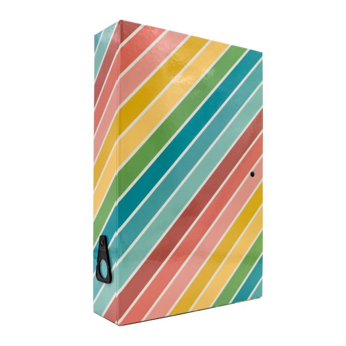 Hard A4 Box File