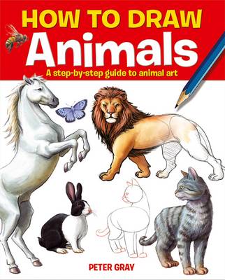 How To Draw Animals - Step-By-Step 
