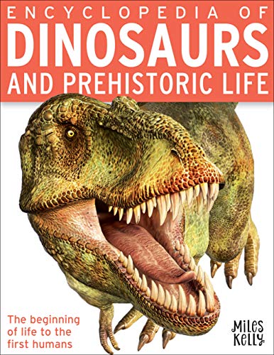 Mk 384 Pgs: Encyclopedia Of Dinosaurs