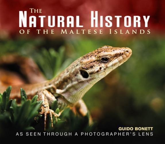 The Natural History Of The Maltese Islands