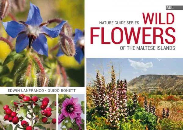 Wild Flowers Of Malta - A Field Guide