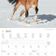 Alpha Edition 2023 Calendar - Ponys