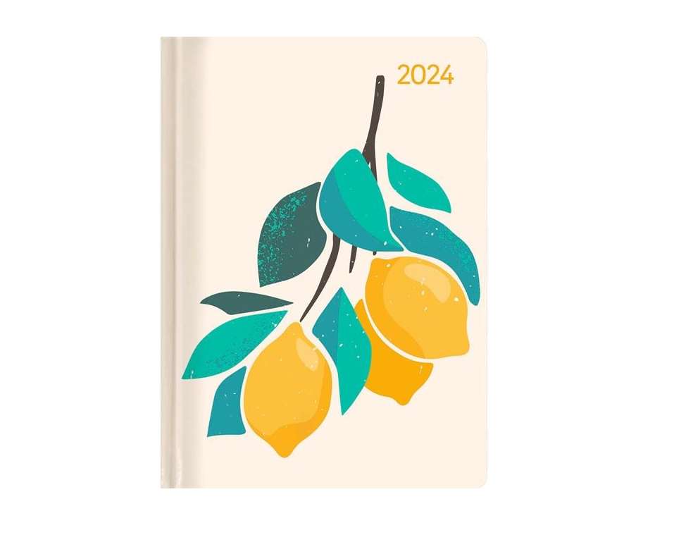 Diary 2024 - A6 One Day A Page
