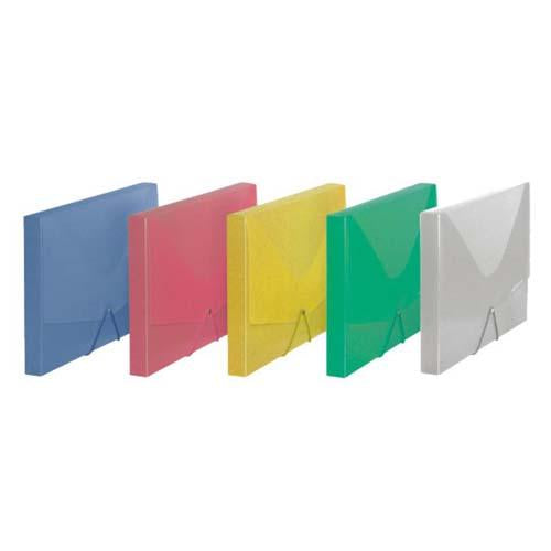 Document Case A4 30Mm Trsp Elastic Pp